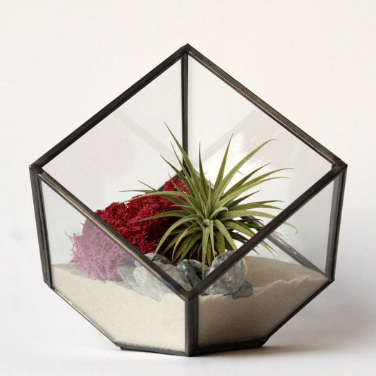 terrario geometrico de cristal y metal con forma de cubo, composición con arena, liquen de islandia y planta ionantha, planta que vive sin tierra ideal para regalo o como detalle de empresa y decoración del hogar o trabajo